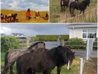 Ross Beach Family Farmhouse