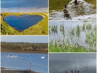 Ross Beach Family Farmhouse