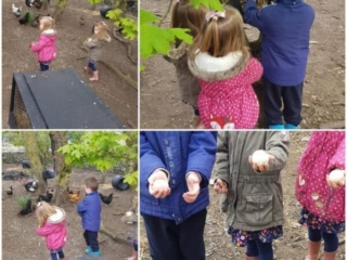 Ross Beach Family Farmhouse