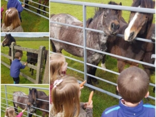 Ross Beach Family Farmhouse