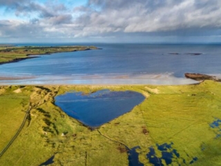The beach near Ross Beach Family Farmhouse Accommodation